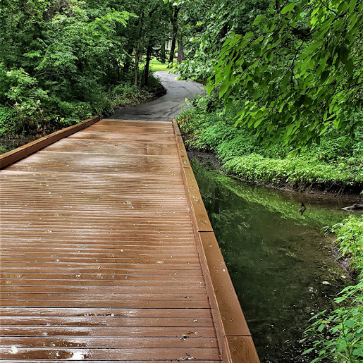 Photos of paths speak to me of our life’s journey.