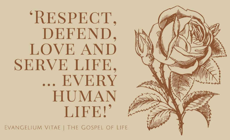 Respect Life Challenge: A Call to Action