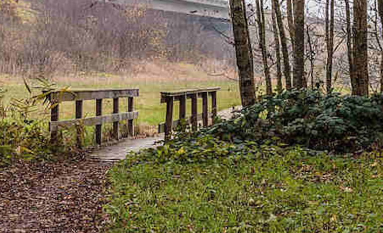 Bridges to Contemplative Living with Thomas Merton